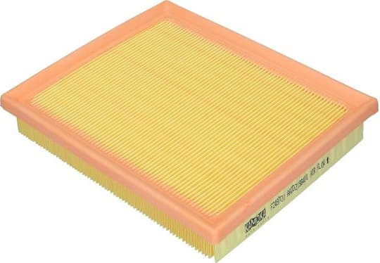 Filter air F249701