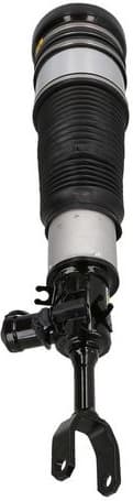 Air Suspension Strut 2070076