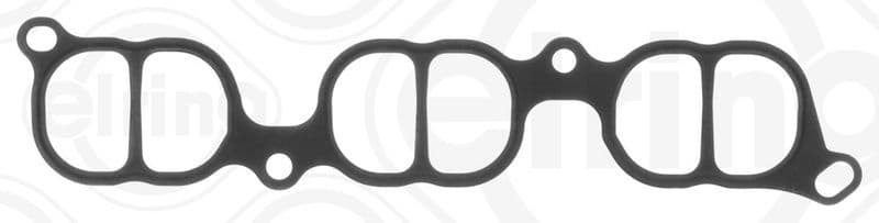 Gasket, intake manifold B11.250