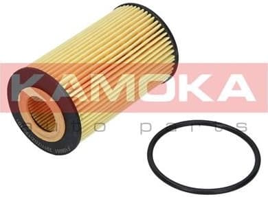 Oil Filter F106001