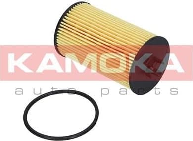Oil Filter F106001 - image 2
