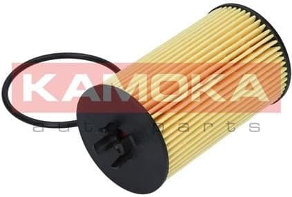 Oil Filter F106001 - image 3