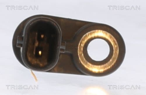 Sensor, wheel speed 8180 10118