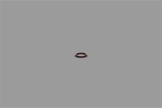 Seal Ring, injector shaft 2430190002 - image 2