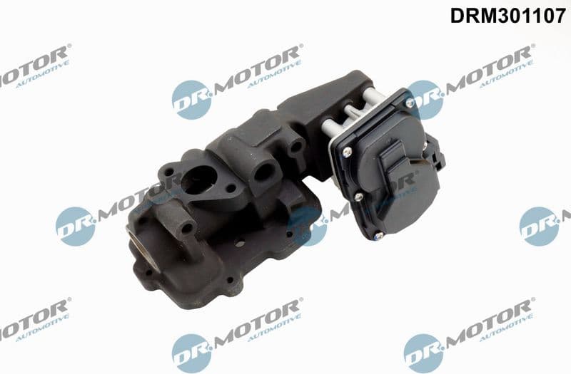 EGR Valve DRM301107
