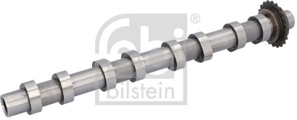 Camshaft 198430