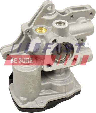 EGR Valve FT60231