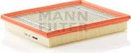 Air Filter C30130/1