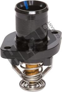 Thermostat, coolant TM1233