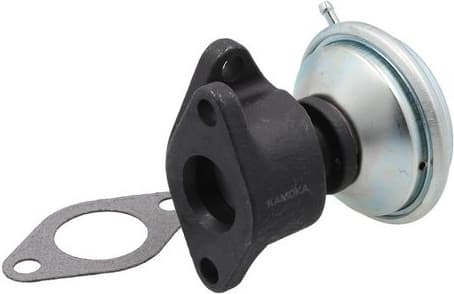 EGR Valve 19080