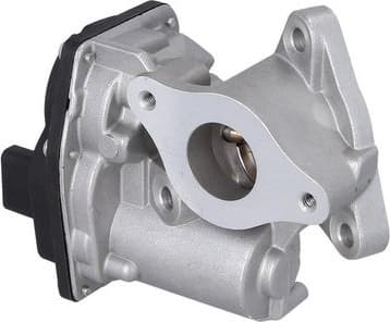 EGR Valve 19126