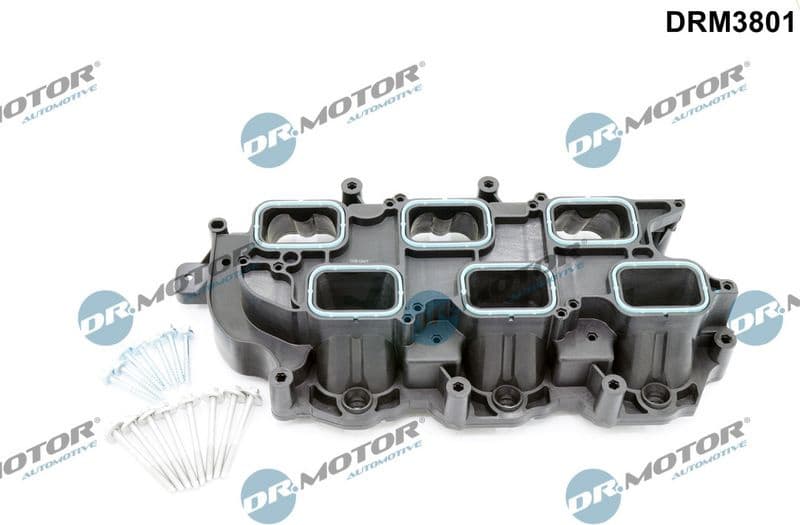 Intake Manifold Module DRM3801