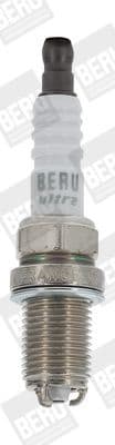 Z 204 (BorgWarner (BERU))