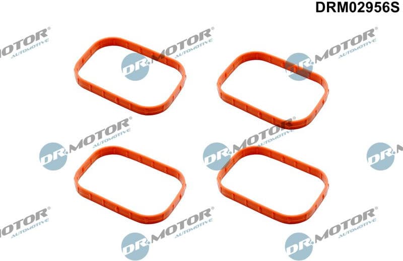 Gasket Set, intake manifold DRM02956S