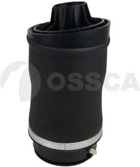 Air Spring, suspension 17849