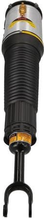 Air Suspension Strut 2070041