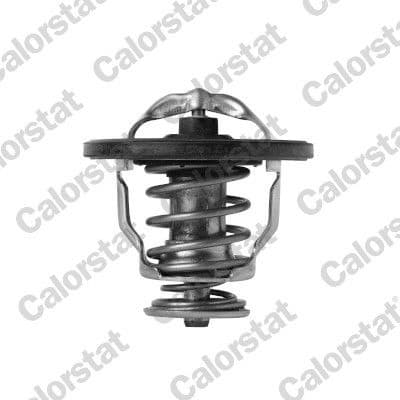 Thermostat, coolant TH7420.76J