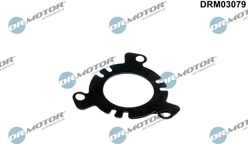 Seal, injection pump DRM03079