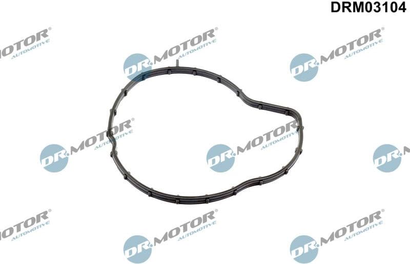 Gasket, water pump DRM03104
