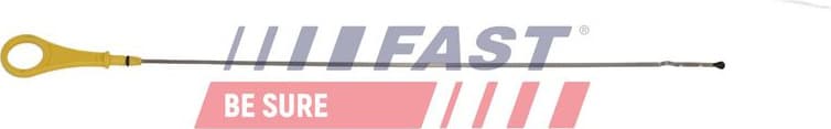 Oil Dipstick FT01551