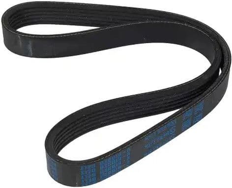 V-ribbed Belt 06-00778-SX
