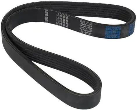 V-ribbed Belt 06-00778-SX - image 2
