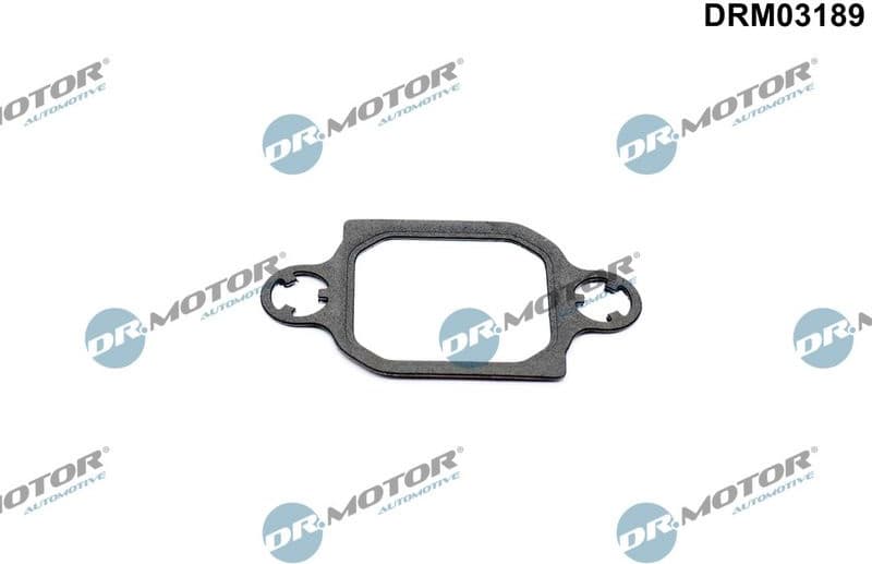 Gasket, EGR valve DRM03189