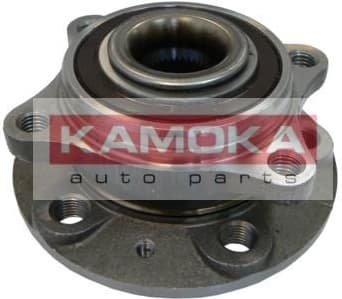 Bearing wheel 5500068
