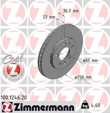 Brake Disc COAT Z 100.1246.20