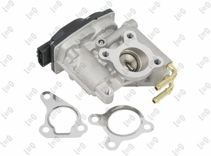 EGR Valve LORO 121-01-160
