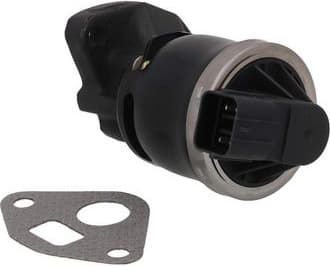 EGR Valve 19101