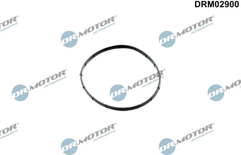 Gasket, vacuum pump DRM02900