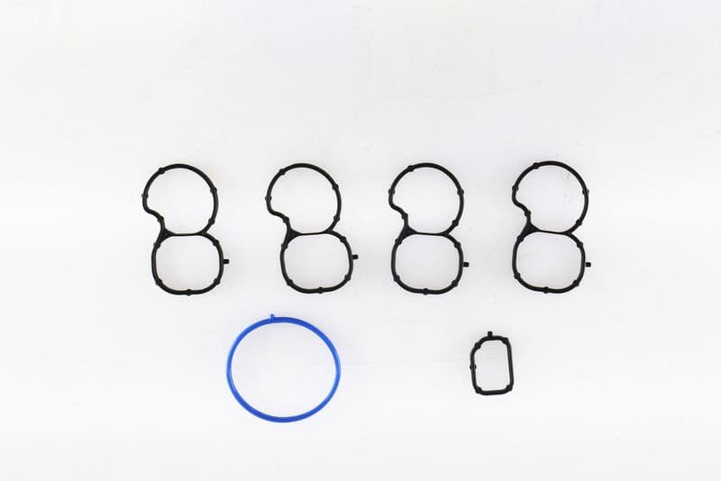 Gasket Set, intake manifold 49192300