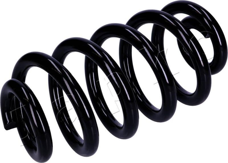 Suspension Spring ZCJ90395