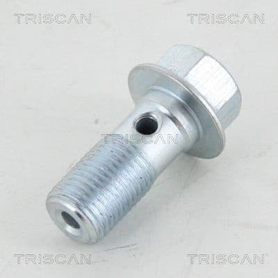 Banjo Bolt 8105 3256
