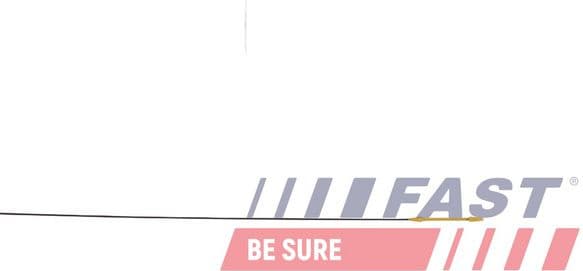 Oil Dipstick FT10960 - image 3