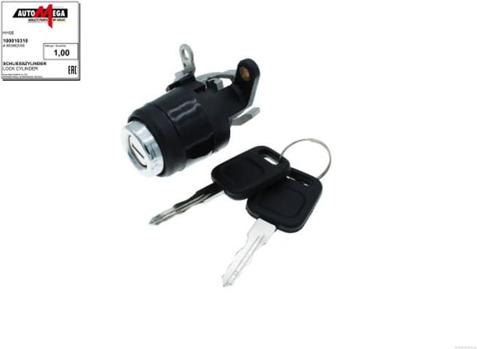 Lock Cylinder 100010310