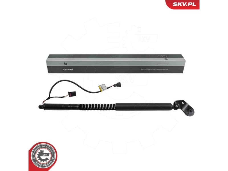 Electric Motor, tailgate 52SKV874