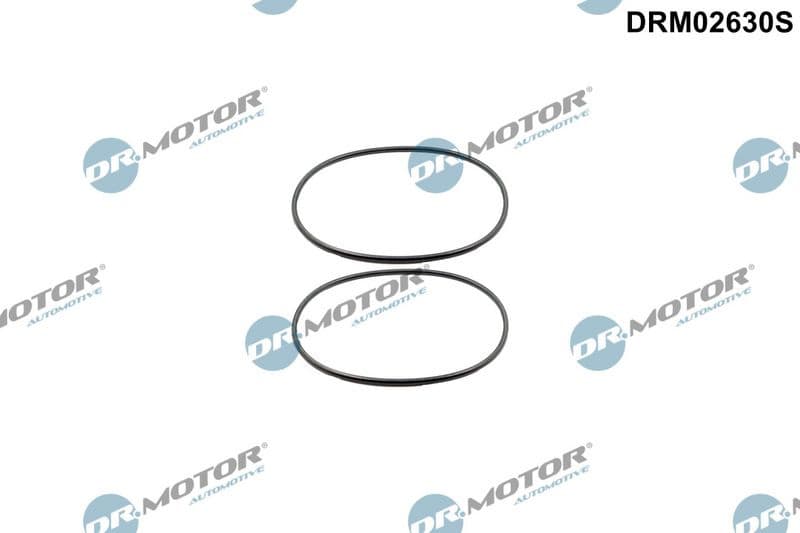Gasket Set, wheel hub DRM02630S
