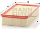 Air Filter C31195