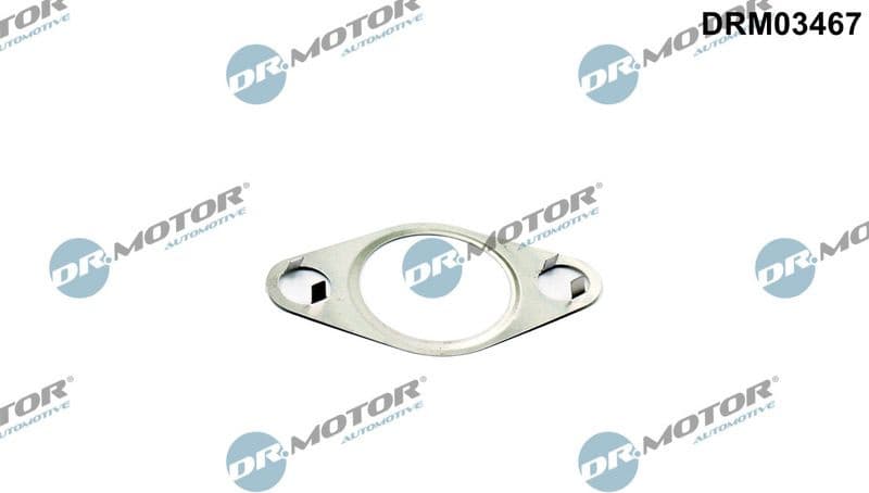 Gasket, EGR valve DRM03467