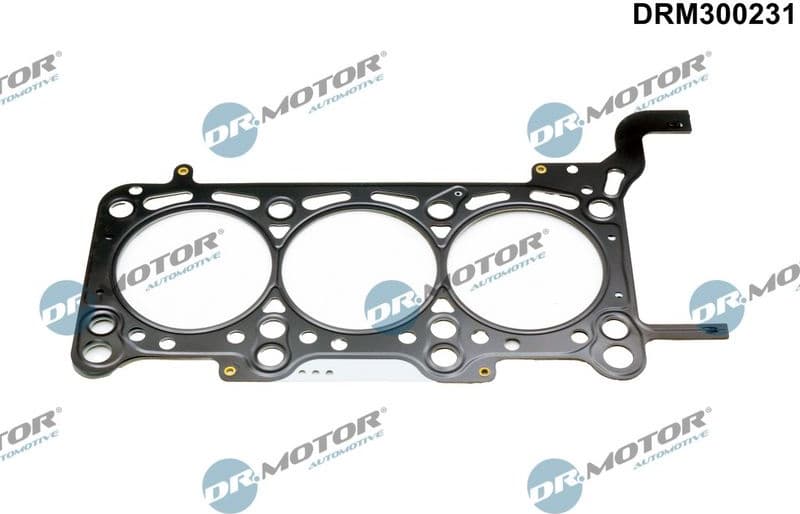 Gasket, cylinder head DRM300231