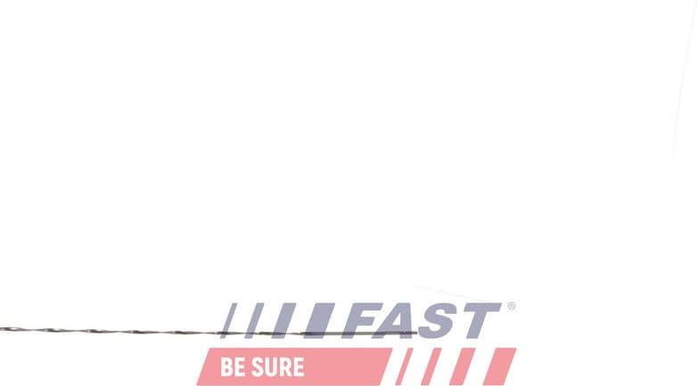 Oil Dipstick FT01554 - image 3