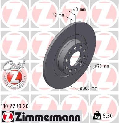 Brake Disc COAT Z 110.2230.20