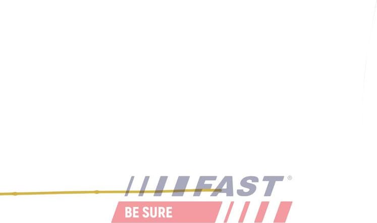 Oil Dipstick FT01733 - image 3