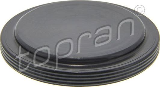 Seal differential-shaft 100 084