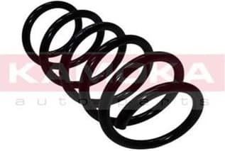 Coil spring 2110197