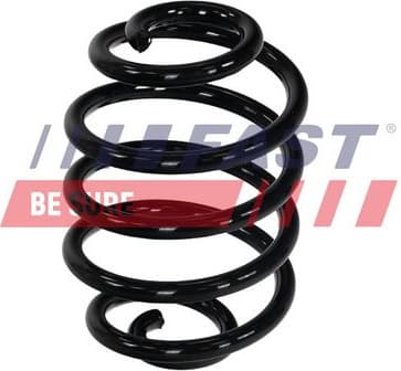 Suspension Spring FT02216