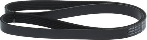 V-ribbed Belt 1 987 945 754