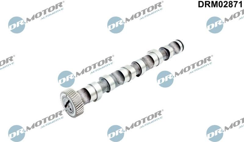 Camshaft DRM02871